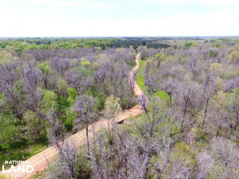 Big Swamp Creek Hunting Timber Tract featured image