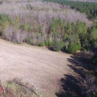 Big Swamp Creek Hunting Timber Tract images 4