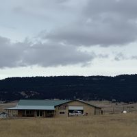 Pheasants on Kara Creek images 4