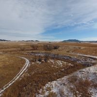 Pheasants on Kara Creek images 3