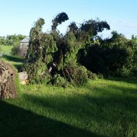 Irrigated Hunting Land images 4