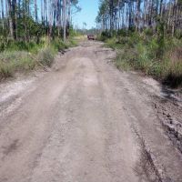 1.25 Acres of Secluded Land Near St. John s River images 4