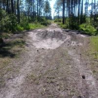 1.25 Acres of Secluded Land Near St. John s River images 3
