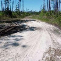 1.25 Acres of Secluded Land Near St. John s River