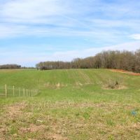 87.88 Acres open wooded beautiful home sites great hunting images 2