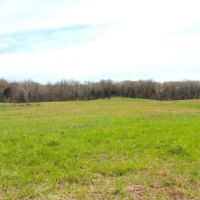 87.88 Acres open wooded beautiful home sites great hunting images 5
