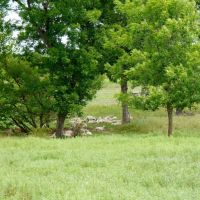 Productive Ranch in Lincoln County For Sale images 5