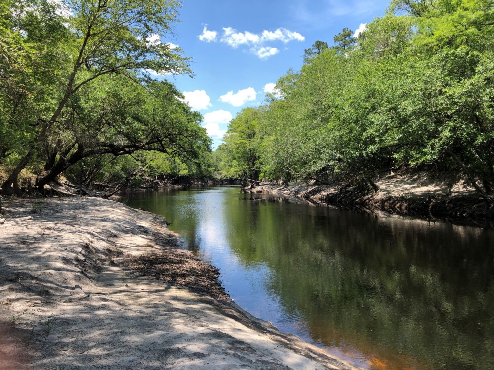Riverhaven on St. Marys River featured image
