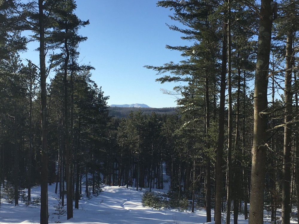 42 Wooded Acres Bordering Snowmobile Trail Malone NY featured image