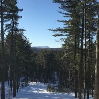 42 Wooded Acres Bordering Snowmobile Trail Malone NY