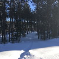 42 Wooded Acres Bordering Snowmobile Trail Malone NY images 2