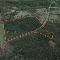 42 Wooded Acres Bordering Snowmobile Trail Malone NY images 4