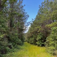 28 Acres T-1 Kelley Road images 4