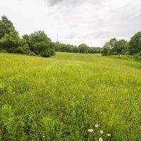 Slaughter Hill Rd - 33 acres - Guernsey County