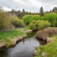 Pitcher Ranch images 3