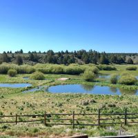 Pitcher Ranch images 4