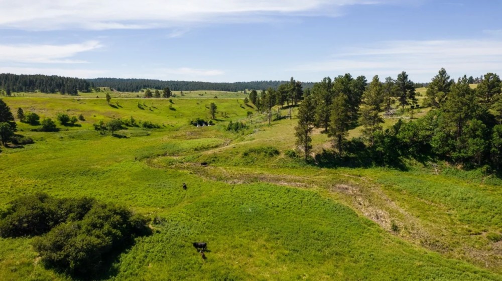 Little Houston Creek Ranch featured image