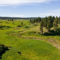 Little Houston Creek Ranch