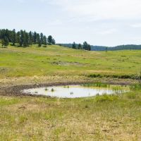 Little Houston Creek Ranch images 2