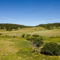 Little Houston Creek Ranch images 4