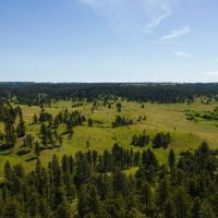 Little Houston Creek Ranch images 5