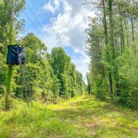 238 Acres Hunting Recreational Land for Sale Pike County MS images 2