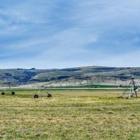 Best Road Irrigated Ranch images 4