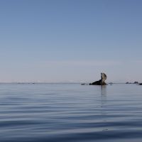 Passage Island images 2