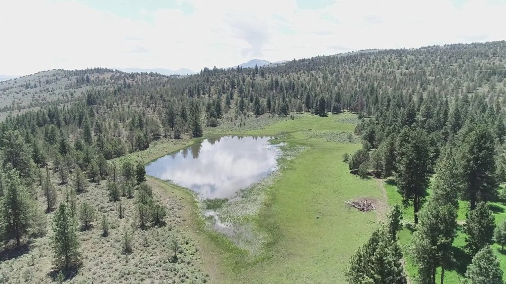 Pinherio Ranch featured image