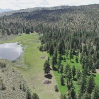 Pinherio Ranch images 2
