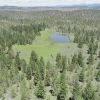Pinherio Ranch images 3