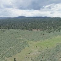 Pinherio Ranch images 4