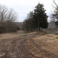 Beautiful Cattle Farm and More images 2