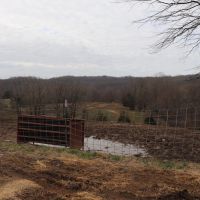 Beautiful Cattle Farm and More images 3