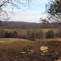 Beautiful Cattle Farm and More images 4