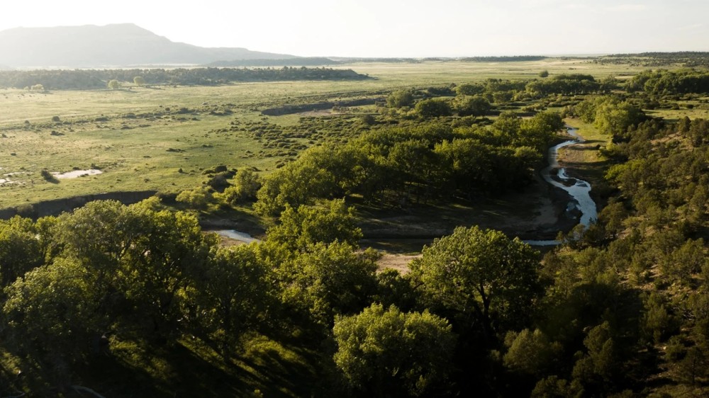 Dawson Elk Valley Ranch featured image