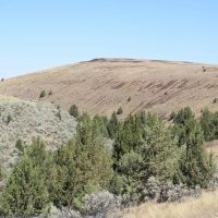 LaRue Strese Place images 2
