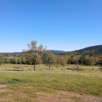Wagon Wheel Ranch images 3
