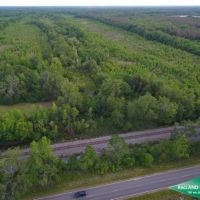 280 ac - WRP Hunting Tract with Convenient Location - PRICE REDUCED Motivated Seller