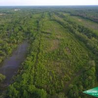 280 ac - WRP Hunting Tract with Convenient Location - PRICE REDUCED Motivated Seller images 2