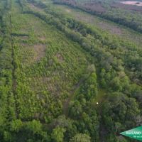 280 ac - WRP Hunting Tract with Convenient Location - PRICE REDUCED Motivated Seller images 3