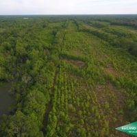 280 ac - WRP Hunting Tract with Convenient Location - PRICE REDUCED Motivated Seller images 4