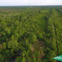 280 ac - WRP Hunting Tract with Convenient Location - PRICE REDUCED Motivated Seller images 5