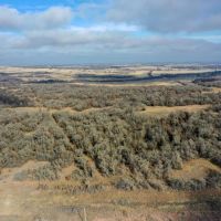 Triple B Ranch images 2