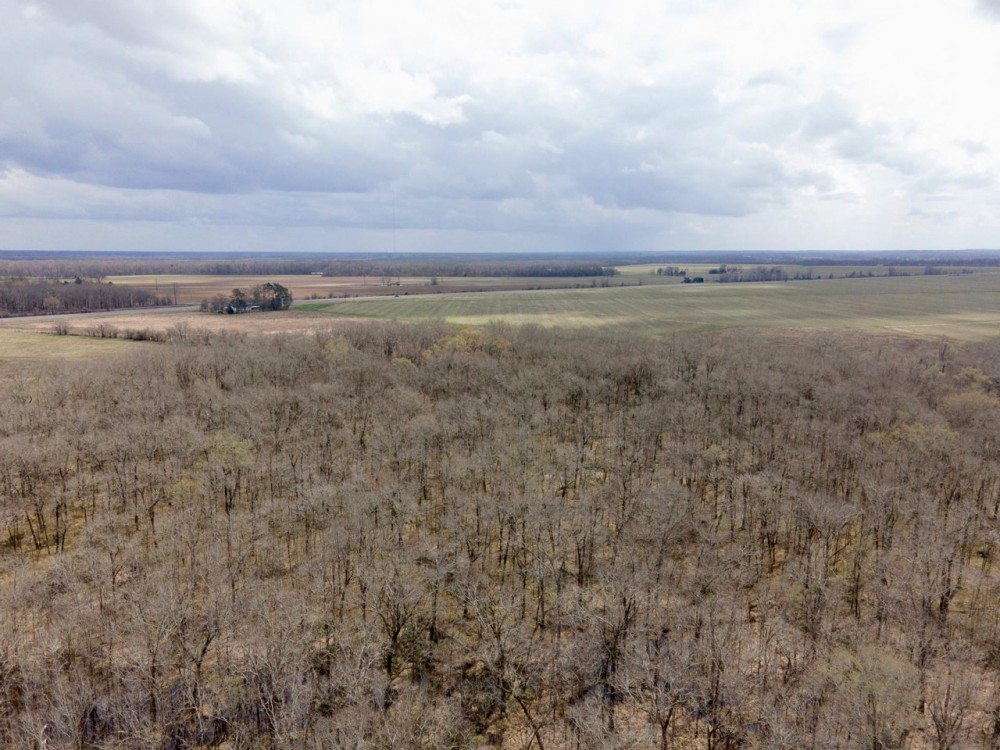 146 Acres Hunting Recreational Farm Land for Sale North LA featured image