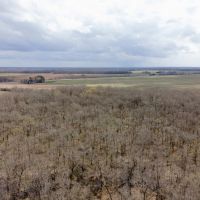 146 Acres Hunting Recreational Farm Land for Sale North LA