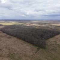 146 Acres Hunting Recreational Farm Land for Sale North LA images 2