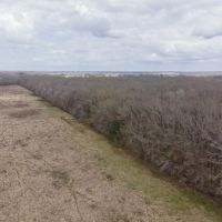 146 Acres Hunting Recreational Farm Land for Sale North LA images 3