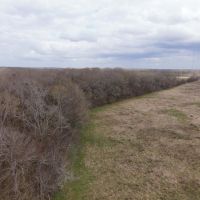 146 Acres Hunting Recreational Farm Land for Sale North LA images 4
