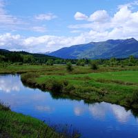 Bull River Paradise